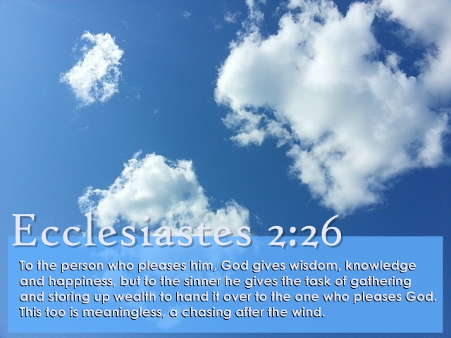 Image result for ecclesiastes on wisdom